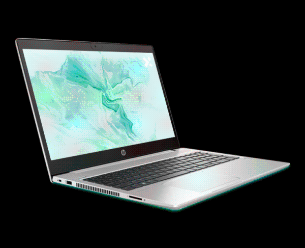 HP ProBook 450 G7 – Intel Core i5-10210U, 8 GB RAM, SSD 256 GB, 15.6" - immagine 2