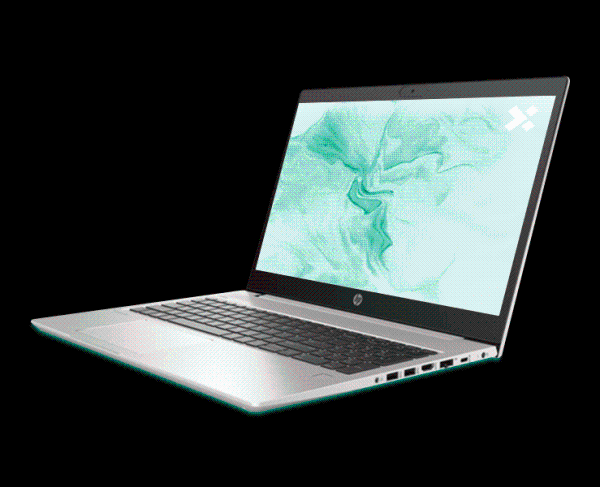 HP ProBook 450 G7 – Intel Core i5-10210U, 8 GB RAM, SSD 256 GB, 15.6" - immagine 3
