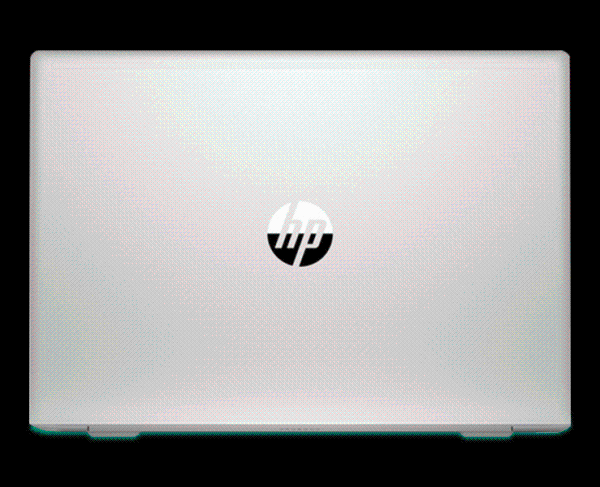 HP ProBook 450 G7 – Intel Core i5-10210U, 8 GB RAM, SSD 256 GB, 15.6" - immagine 4