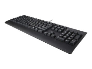 Lenovo USB Keyboard Preferred Pro II DE